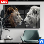 Wechselmotiv Dia Loewen Zweisamkeit Querformat Produktvorschau mit dem Bild Löwen - Zweisamkeit im Format Querformat.