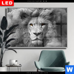 Wechselmotiv Dia Loewengesicht In Rauch Querformat Produktvorschau mit dem Bild Löwengesicht in Rauch im Format Querformat.