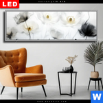 Wechselmotiv Dia Luftige Bluetenstille Panorama Produktvorschau mit dem Bild Luftige Blütenstille im Format Panorama.