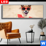 Wechselmotiv Dia Lustiger Hund Am Strand Panorama Produktvorschau mit dem Bild Lustiger Hund am Strand im Format Panorama.