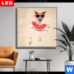 Wechselmotiv Dia Lustiger Hund Am Strand Quadrat Produktvorschau mit dem Bild Lustiger Hund am Strand im Format Quadrat.