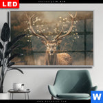 Wechselmotiv Dia Magischer Hirsch Im Waldrand Querformat Produktvorschau mit dem Bild Magischer Hirsch im Waldrand im Format Querformat.