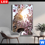 Wechselmotiv Dia Mangnolien In Paris Hochformat Produktvorschau mit dem Bild Mangnolien in Paris im Format Hochformat.