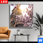 Wechselmotiv Dia Mangnolien In Paris Quadrat Produktvorschau mit dem Bild Mangnolien in Paris im Format Quadrat.