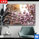 Wechselmotiv Dia Mangnolien In Paris Querformat Produktvorschau mit dem Bild Mangnolien in Paris im Format Querformat.