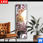 Wechselmotiv Dia Mangnolien In Paris Schmal Produktvorschau mit dem Bild Mangnolien in Paris im Format Schmal.