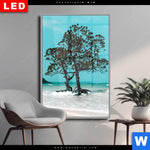 Wechselmotiv Dia Mangrovenbaum Im Wasser Hochformat Produktvorschau mit dem Bild Mangrovenbaum im Wasser im Format Hochformat.