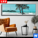 Wechselmotiv Dia Mangrovenbaum Im Wasser Panorama Produktvorschau mit dem Bild Mangrovenbaum im Wasser im Format Panorama.