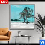 Wechselmotiv Dia Mangrovenbaum Im Wasser Quadrat Produktvorschau mit dem Bild Mangrovenbaum im Wasser im Format Quadrat.