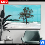 Wechselmotiv Dia Mangrovenbaum Im Wasser Querformat Produktvorschau mit dem Bild Mangrovenbaum im Wasser im Format Querformat.