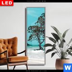 Wechselmotiv Dia Mangrovenbaum Im Wasser Schmal Produktvorschau mit dem Bild Mangrovenbaum im Wasser im Format Schmal.