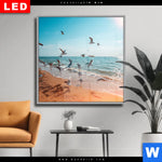 Wechselmotiv Dia Moewen Am Strand Quadrat Produktvorschau mit dem Bild Möwen am Strand im Format Quadrat.