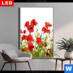 Wechselmotiv Dia Mohnfeld Hochformat Produktvorschau mit dem Bild Mohnfeld im Format Hochformat.