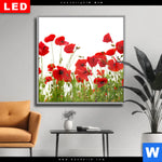 Wechselmotiv Dia Mohnfeld Quadrat Produktvorschau mit dem Bild Mohnfeld im Format Quadrat.