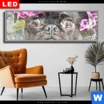 Wechselmotiv Dia Mops Blumen Panorama Produktvorschau mit dem Bild Mops & Blumen im Format Panorama.