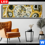 Wechselmotiv Dia Muschel Fossil No 1 Panorama Produktvorschau mit dem Bild Muschel Fossil No. 1 im Format Panorama.