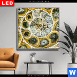 Wechselmotiv Dia Muschel Fossil No 1 Quadrat Produktvorschau mit dem Bild Muschel Fossil No. 1 im Format Quadrat.