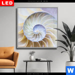 Wechselmotiv Dia Muschel Fossil No 2 Quadrat Produktvorschau mit dem Bild Muschel Fossil No. 2 im Format Quadrat.