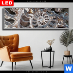 Wechselmotiv Dia Muschel Fossil No 3 Panorama Produktvorschau mit dem Bild Muschel Fossil No. 3 im Format Panorama.