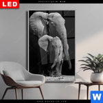 Wechselmotiv Dia Mutter Baby Elefant Hochformat Produktvorschau mit dem Bild Mutter & Baby Elefant im Format Hochformat.