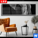 Wechselmotiv Dia Mutter Baby Elefant Panorama Produktvorschau mit dem Bild Mutter & Baby Elefant im Format Panorama.