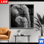 Wechselmotiv Dia Mutter Baby Elefant Quadrat Produktvorschau mit dem Bild Mutter & Baby Elefant im Format Quadrat.