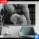Wechselmotiv Dia Mutter Baby Elefant Querformat Produktvorschau mit dem Bild Mutter & Baby Elefant im Format Querformat.
