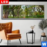 Wechselmotiv Dia Mystischer Wald Panorama Produktvorschau mit dem Bild Mystischer Wald im Format Panorama.