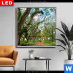 Wechselmotiv Dia Mystischer Wald Quadrat Produktvorschau mit dem Bild Mystischer Wald im Format Quadrat.