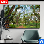 Wechselmotiv Dia Mystischer Wald Querformat Produktvorschau mit dem Bild Mystischer Wald im Format Querformat.