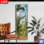 Wechselmotiv Dia Mystischer Wald Schmal Produktvorschau mit dem Bild Mystischer Wald im Format Schmal.