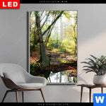 Wechselmotiv Dia Natuerlicher Wald Hochformat Produktvorschau mit dem Bild Natürlicher Wald im Format Hochformat.