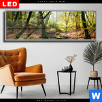 Wechselmotiv Dia Natuerlicher Wald Panorama Produktvorschau mit dem Bild Natürlicher Wald im Format Panorama.
