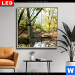 Wechselmotiv Dia Natuerlicher Wald Quadrat Produktvorschau mit dem Bild Natürlicher Wald im Format Quadrat.