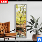 Wechselmotiv Dia Natuerlicher Wald Schmal Produktvorschau mit dem Bild Natürlicher Wald im Format Schmal.