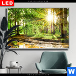 Wechselmotiv Dia Natur Pur Der Wald Querformat Produktvorschau mit dem Bild Natur pur - Der Wald im Format Querformat.