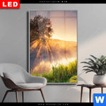 Wechselmotiv Dia Nebel Am Fluss Hochformat Produktvorschau mit dem Bild Nebel am Fluss im Format Hochformat.