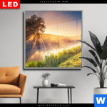 Wechselmotiv Dia Nebel Am Fluss Quadrat Produktvorschau mit dem Bild Nebel am Fluss im Format Quadrat.