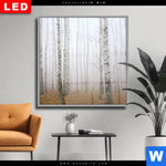 Wechselmotiv Dia Nebel Im Birkenwald Quadrat Produktvorschau mit dem Bild Nebel im Birkenwald im Format Quadrat.