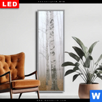 Wechselmotiv Dia Nebel Im Birkenwald Schmal Produktvorschau mit dem Bild Nebel im Birkenwald im Format Schmal.