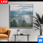 Wechselmotiv Dia Nebel Im Wald Quadrat Produktvorschau mit dem Bild Nebel im Wald im Format Quadrat.