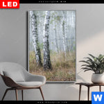 Wechselmotiv Dia Nebliger Morgen Im Birkenwald Hochformat Produktvorschau mit dem Bild Nebliger Morgen im Birkenwald im Format Hochformat.