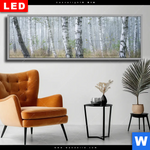 Wechselmotiv Dia Nebliger Morgen Im Birkenwald Panorama Produktvorschau mit dem Bild Nebliger Morgen im Birkenwald im Format Panorama.