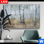 Wechselmotiv Dia Nebliger Morgen Im Birkenwald Querformat Produktvorschau mit dem Bild Nebliger Morgen im Birkenwald im Format Querformat.