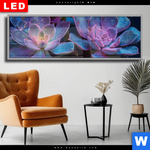 Wechselmotiv Dia Neon Sukkulenten Panorama Produktvorschau mit dem Bild Neon Sukkulenten im Format Panorama.