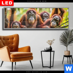 Wechselmotiv Dia Orang Utan Familie Im Regenwald Panorama Produktvorschau mit dem Bild Orang Utan Familie im Regenwald im Format Panorama.