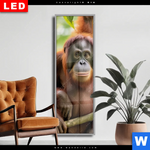 Wechselmotiv Dia Orang Utan Familie Im Regenwald Schmal Produktvorschau mit dem Bild Orang Utan Familie im Regenwald im Format Schmal.