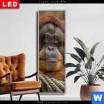 Wechselmotiv Dia Orang Utan Mit Sanftem Blick Schmal Produktvorschau mit dem Bild Orang-Utan mit sanftem Blick im Format Schmal.