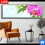 Wechselmotiv Dia Orchidee Wassertropfen Panorama Produktvorschau mit dem Bild Orchidee & Wassertropfen im Format Panorama.