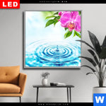 Wechselmotiv Dia Orchidee Wassertropfen Quadrat Produktvorschau mit dem Bild Orchidee & Wassertropfen im Format Quadrat.